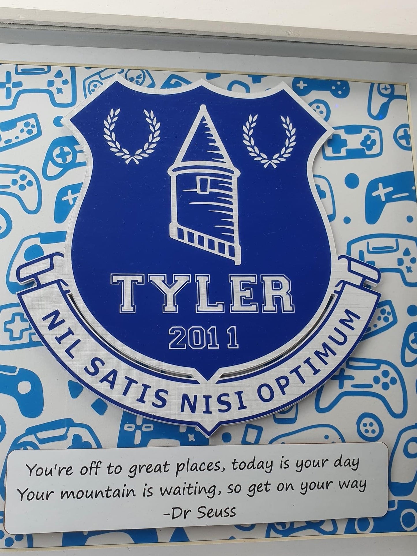 Everton Football Club 3D Picture Art