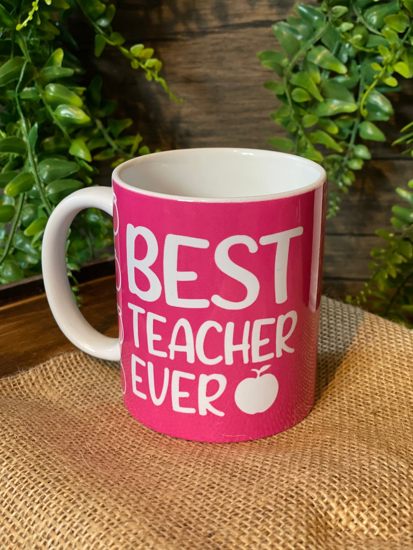 Best Teacher Ever Mug