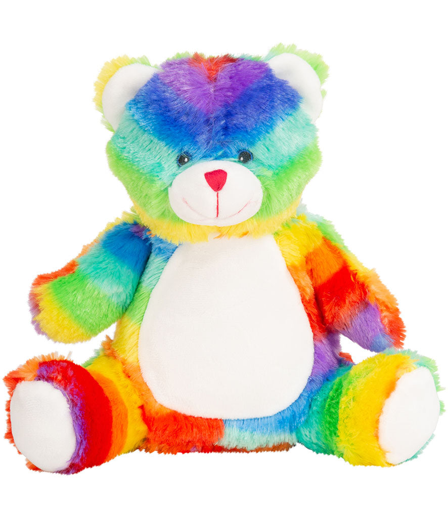 Rainbow Teddy