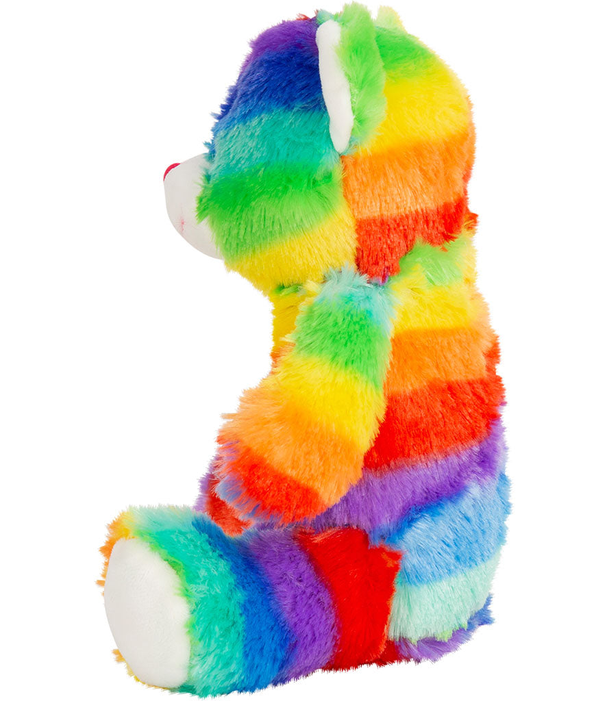 Rainbow Teddy