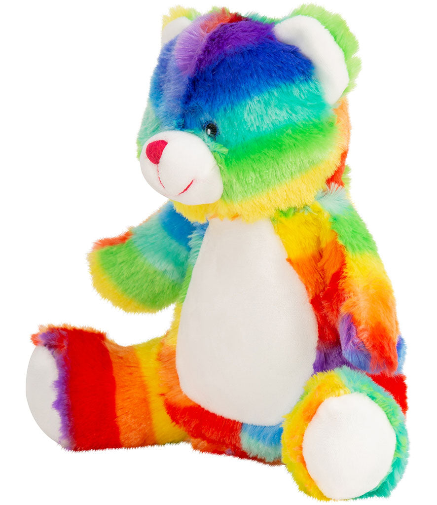 Rainbow Teddy